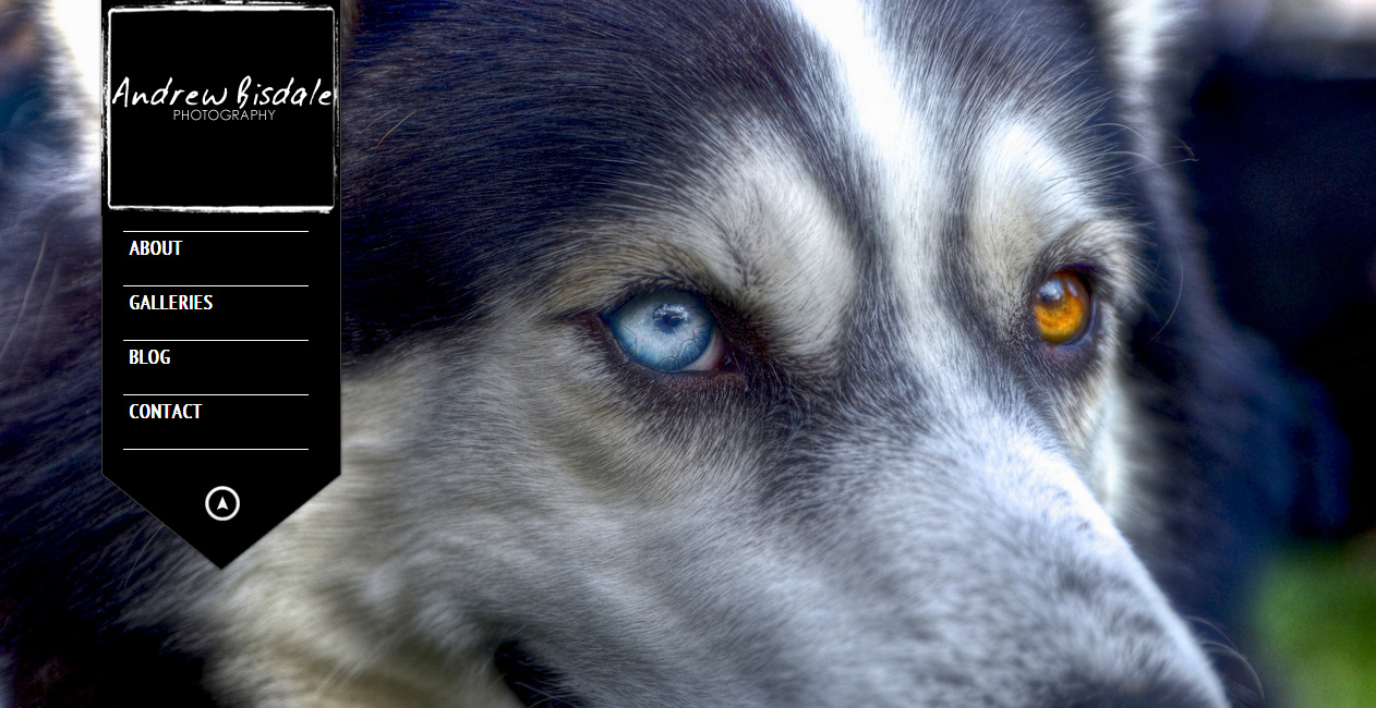 Andrew Bisdale Website